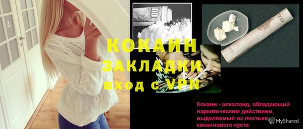 индика Алексеевка
