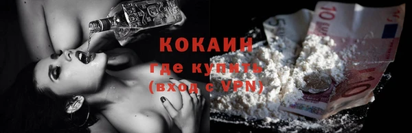 индика Алексеевка