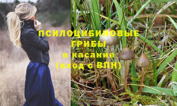 jwh Заводоуковск