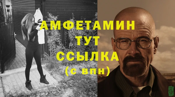 прущие грибы Заволжск