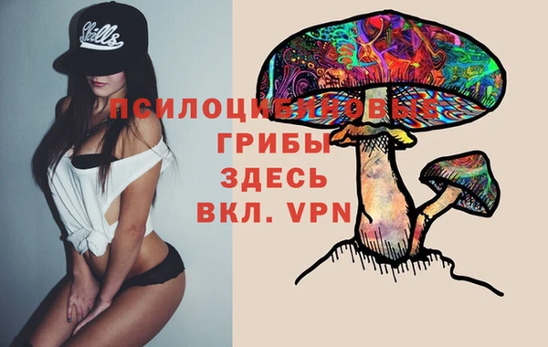 таблы Алексин