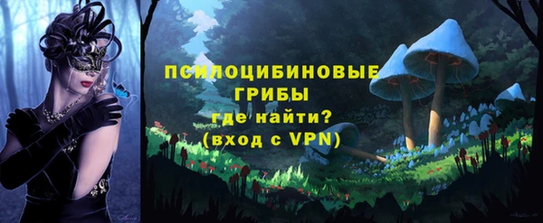 таблы Алзамай