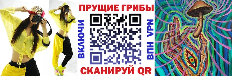 Псилоцибиновые грибы GOLDEN TEACHER  ОМГ ОМГ   Лабинск 